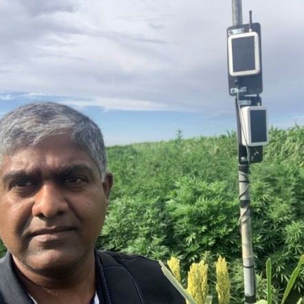 Jay J., Entrepreneur, USA